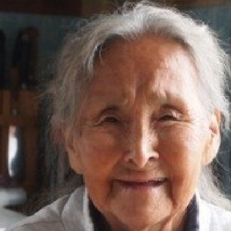 Besoegstjenesten 300X180