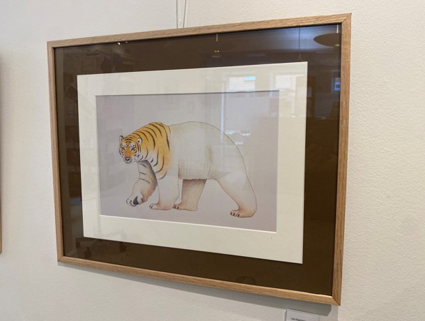 Tigerbjørn
