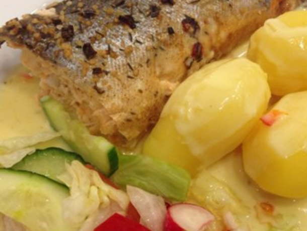 Fisk 1030X500